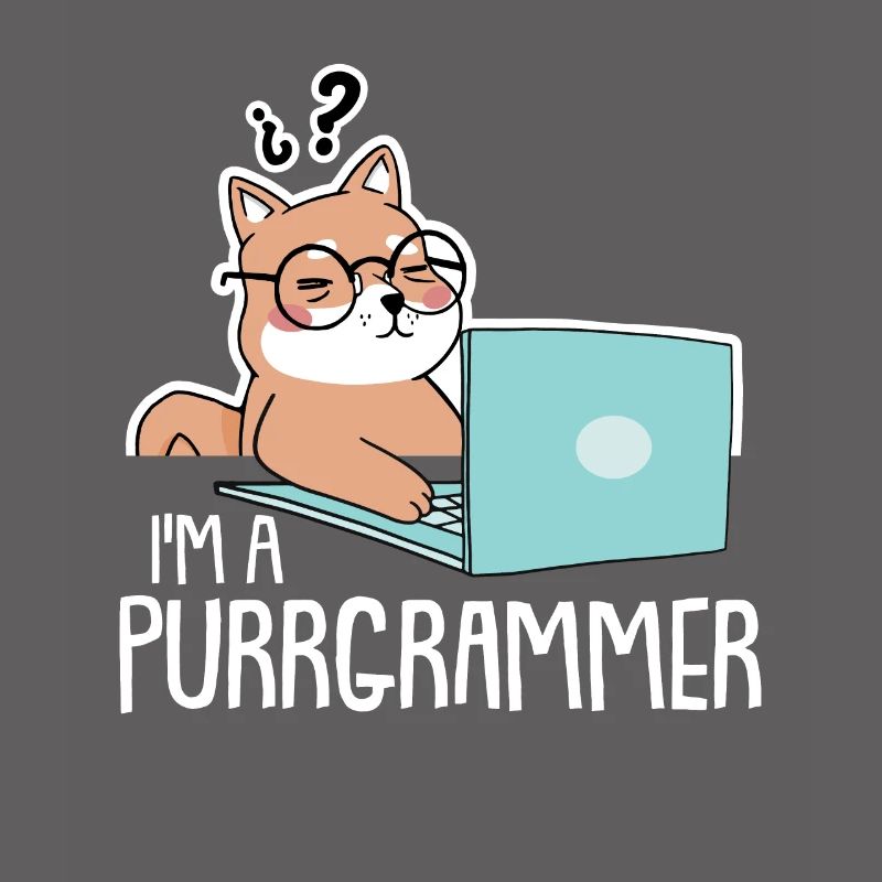 Programmer Coder Software Developer