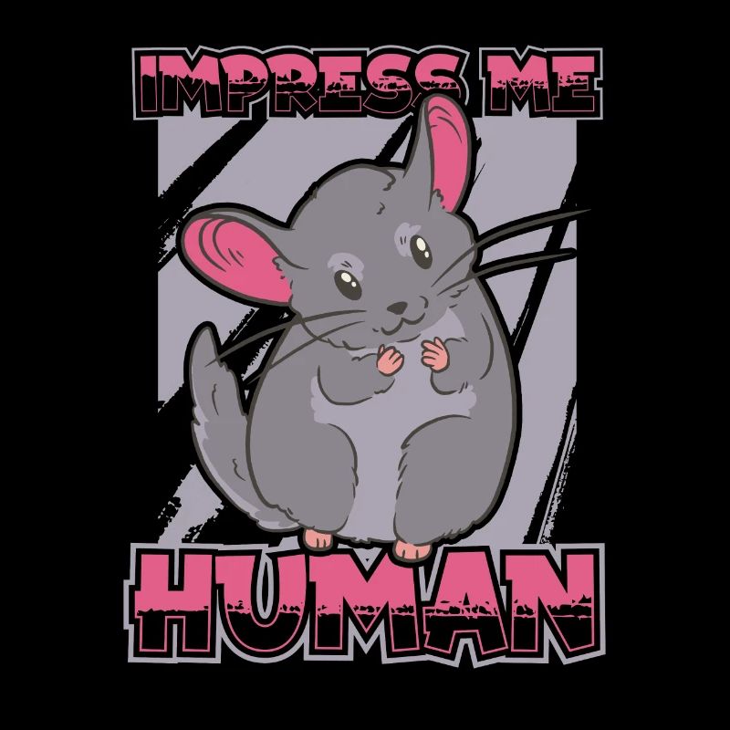 Chinchilla