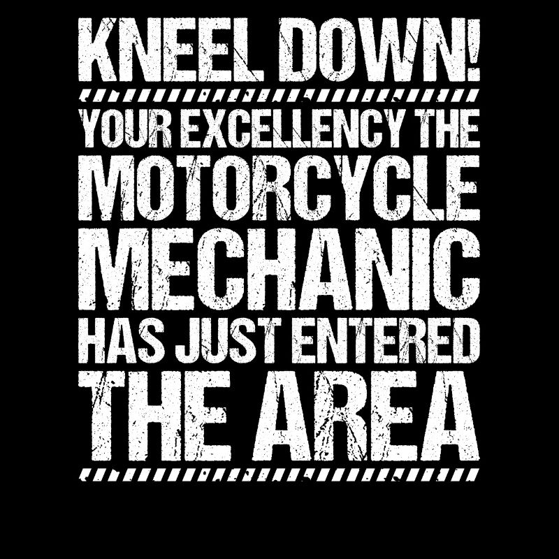 Two-wheel mechatronics engineer Motorcycle Motorcycle Mechanic