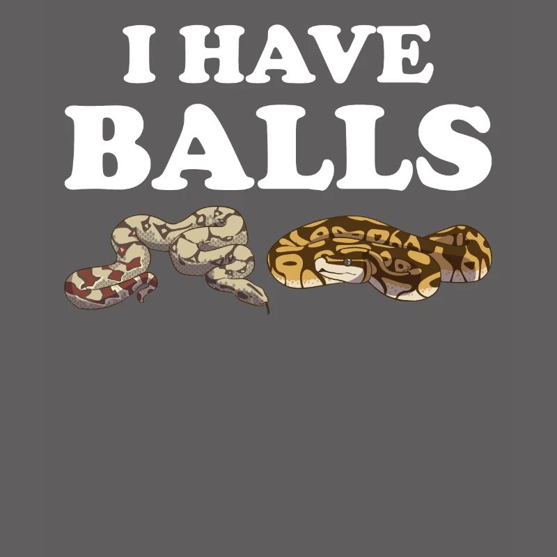 Funny Ball Python Snake
