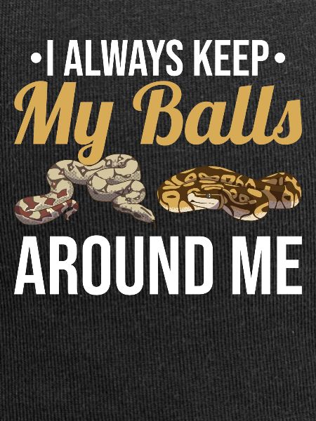 Funny Ball Python Snake
