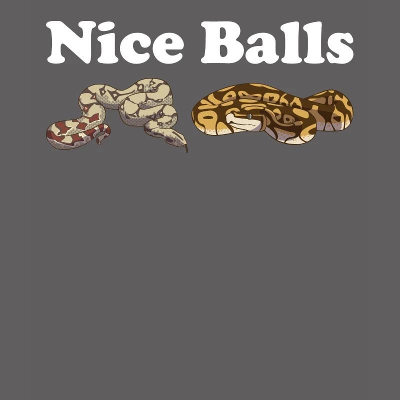 Funny Ball Python Snake