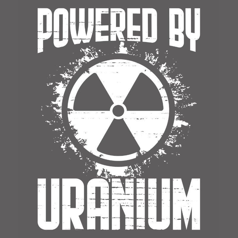 Nuclear Power Plant Nuclear Engineer