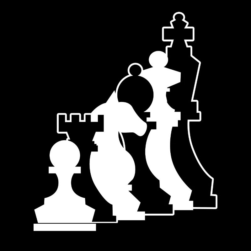 Chess player chess master chess
