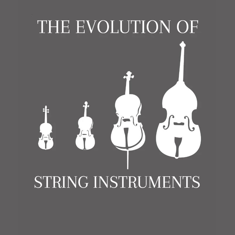 Kontrabass Spruch Streichinstrumente Evolution