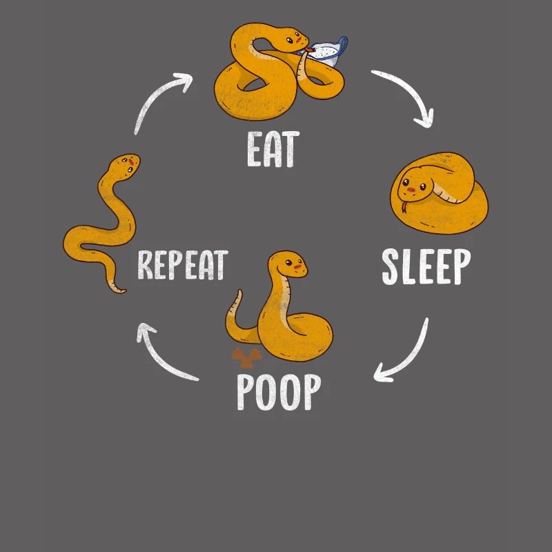 Serpent Chuchoteur Python Boa Reptile Serpent Serpent