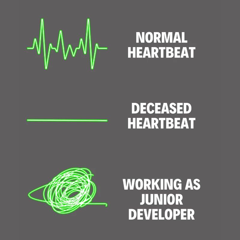 Junior Developer Professional Worker