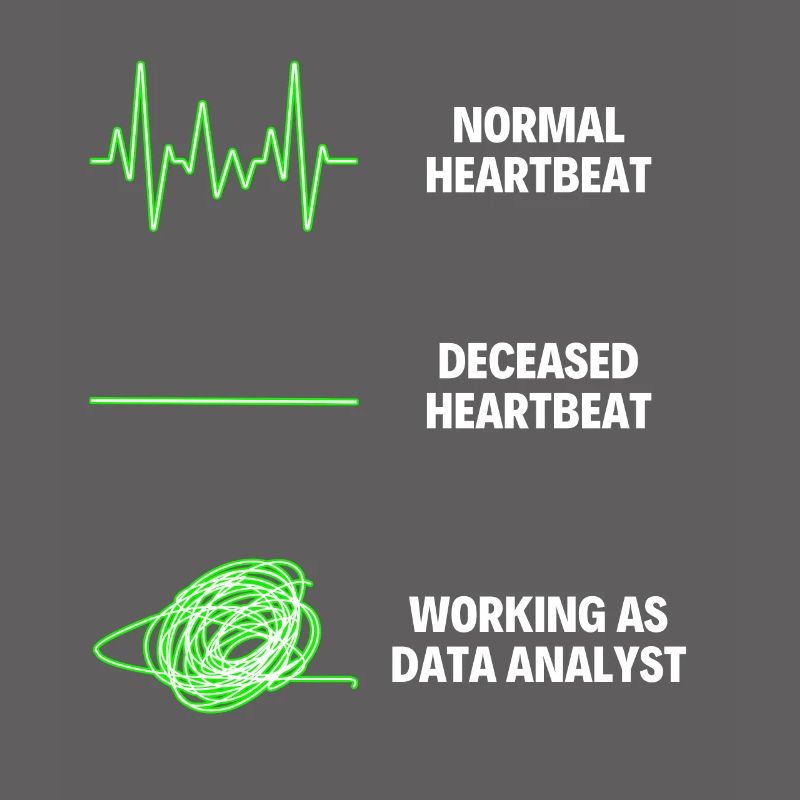 Data Analyst Data Analytics Worker Web Developer