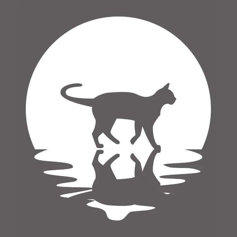 Circle and reflection - Cat -