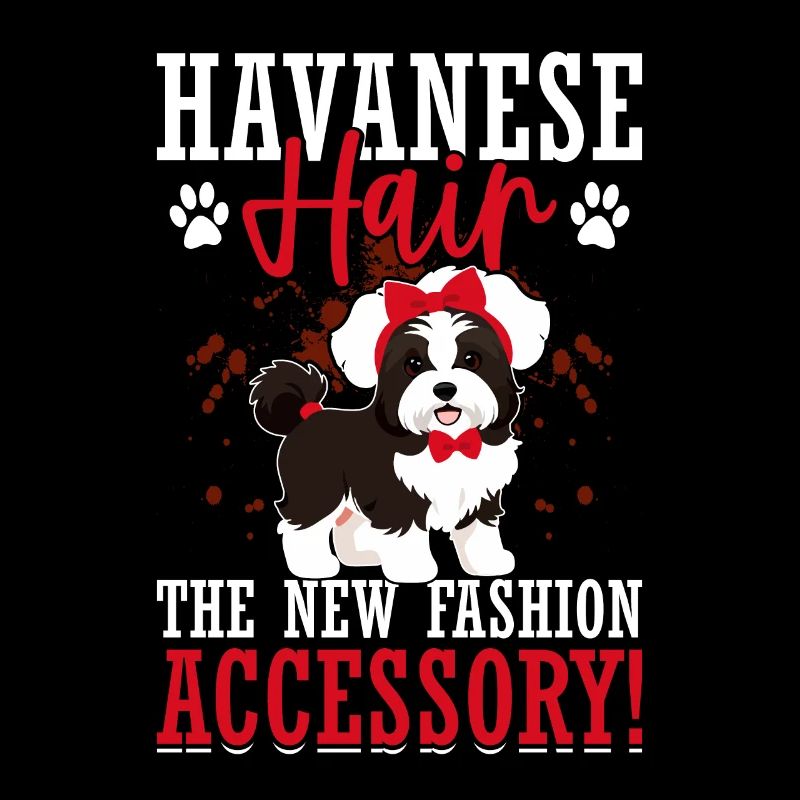 Le bichon havanais : le nouvel accessoire de mode