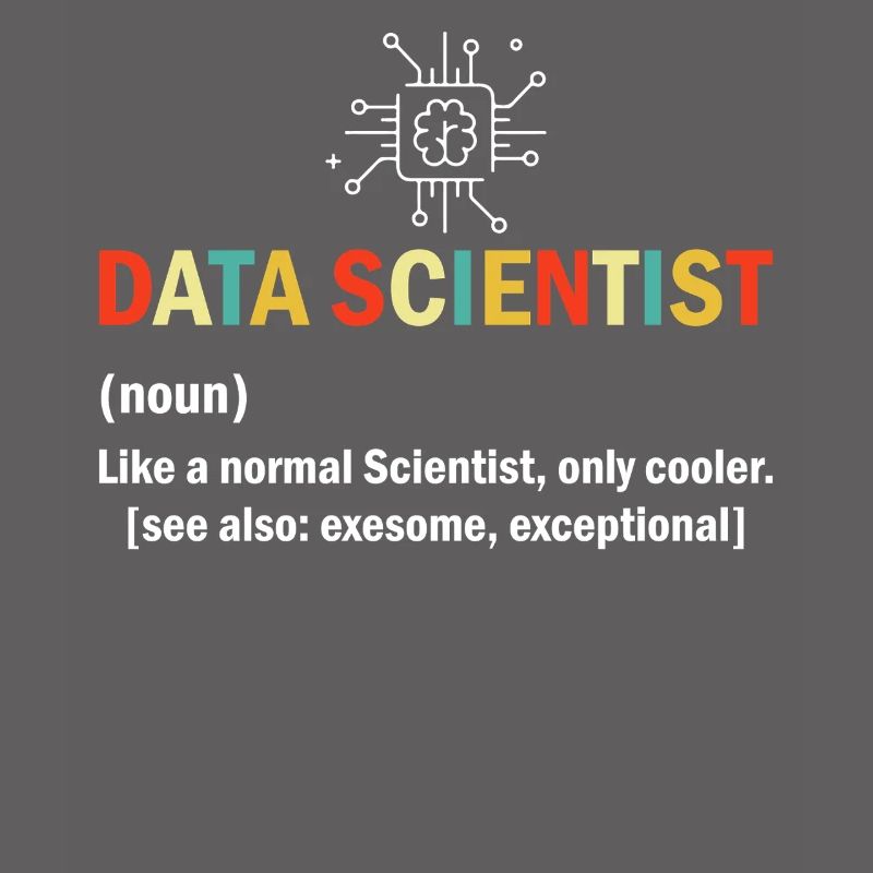 Data Scientist Lustige Definition Tabellenkalkulation Daten