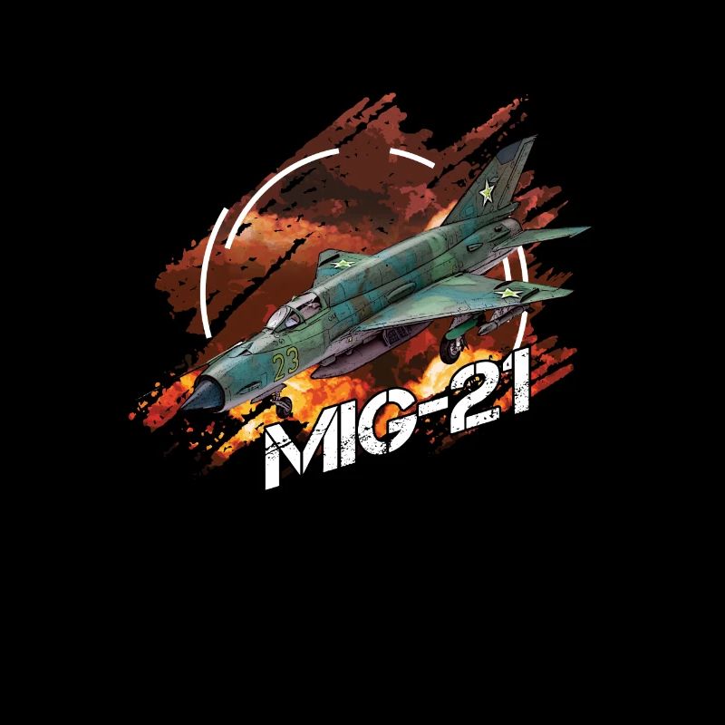 MIG 21 Luftwaffe pilot gift