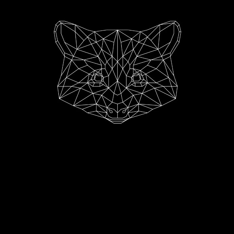 racoon