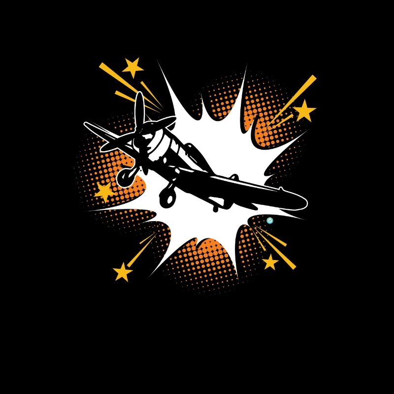 P36 Hawk WW2 fighter plane gift