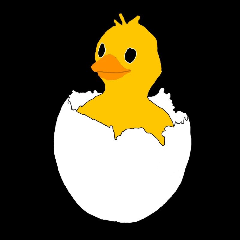 Chicks Happy easter easter bunny