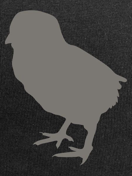 chick