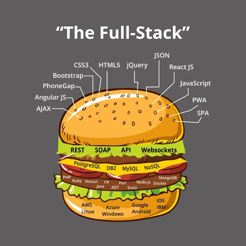 Computer Programmierer Programmierer Software Burger Liebhaber