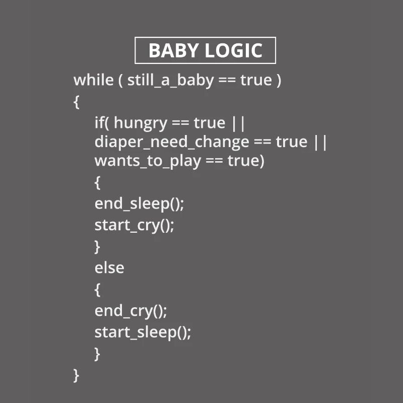 Computerprogrammierer Codierer Software Engineers Geschenk