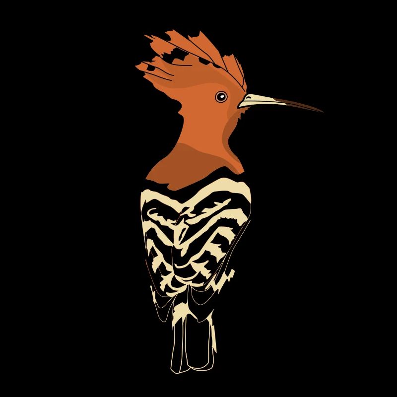 Huppe Eurasie huppe Oiseaux Oiseau