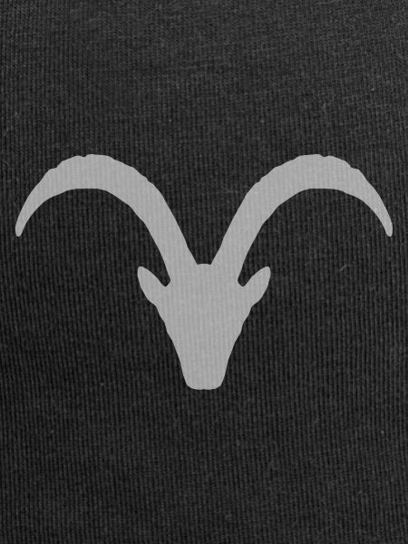 Steinbock