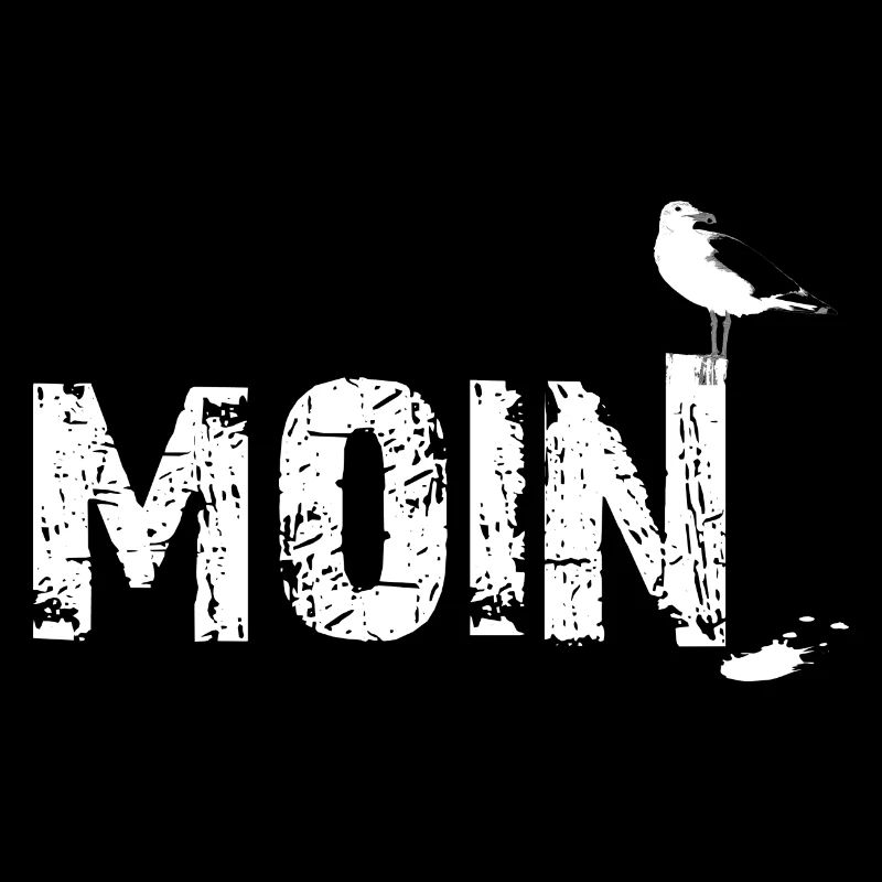 Möwe moin schiss