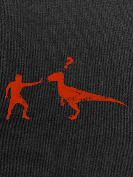 Velociraptor Dinosaurs