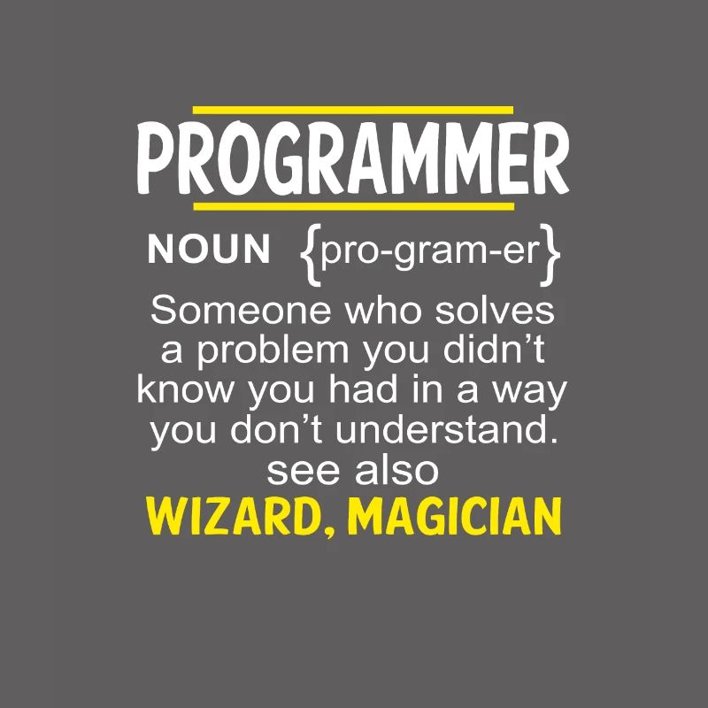 Funny Developer Coder IT Programmer Gift