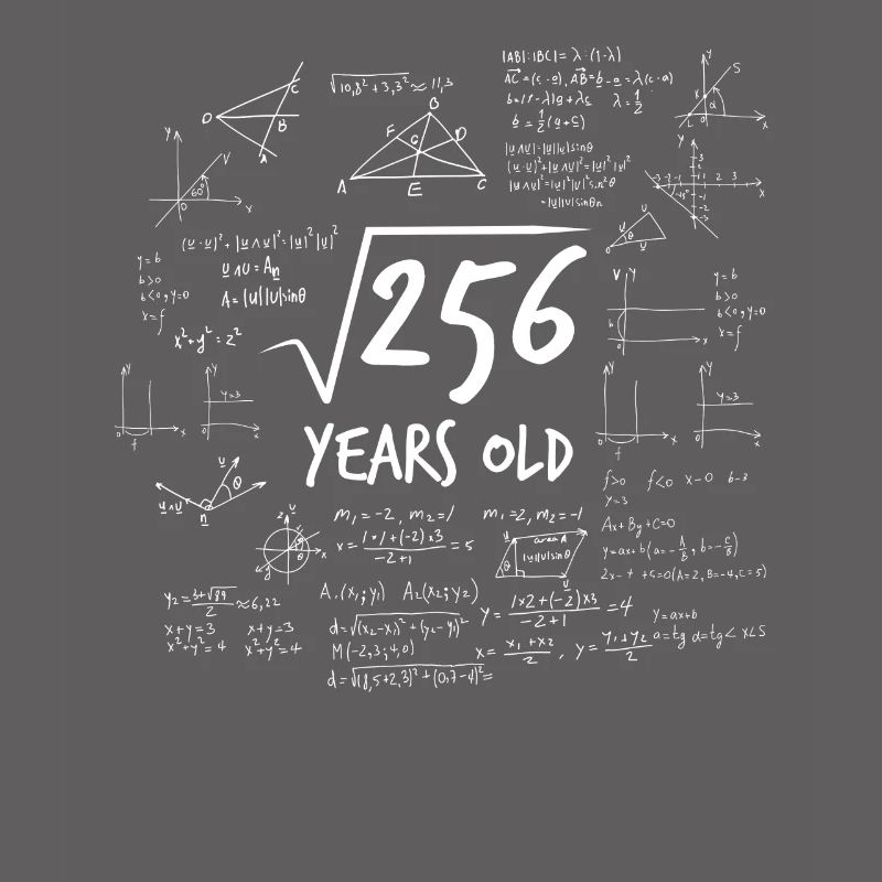 16th birthday root from 256 math nerd