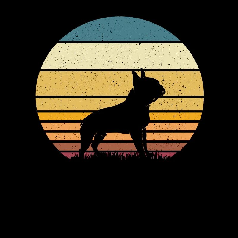 Boston Terrier