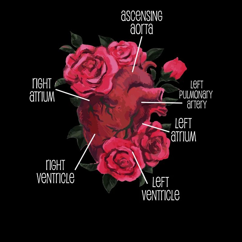 Cœur anatomique et fleurs