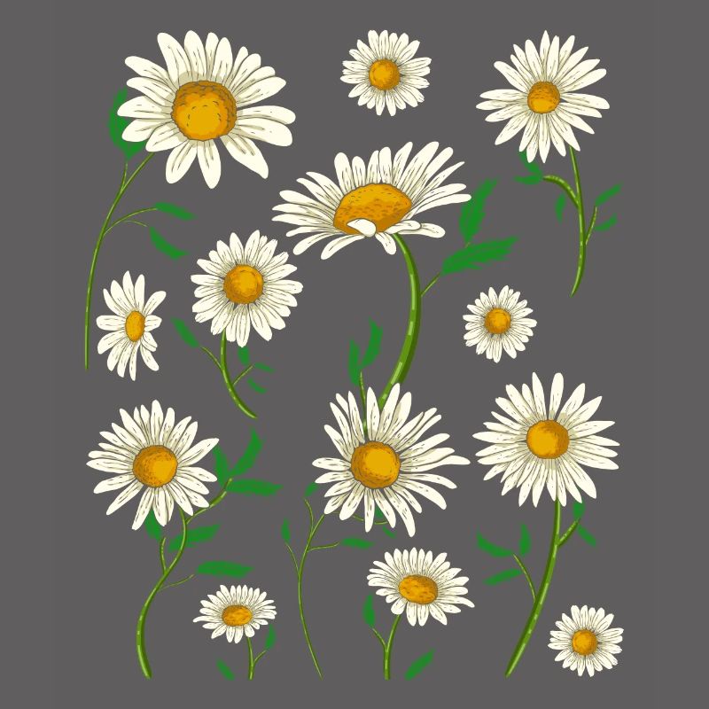 Gänseblümchen Hobbygärtner Geschenk Blumen Botanik