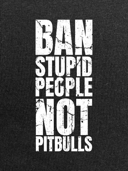 Pitbull Pitbull Interdiction