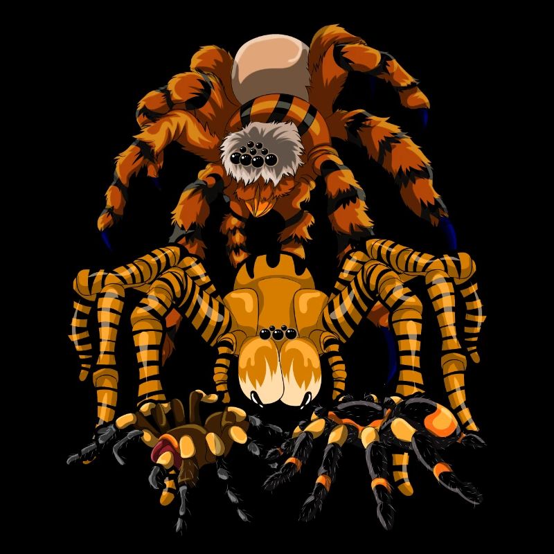 Tarentule Tarentule Arachnide Cadeau Araignée