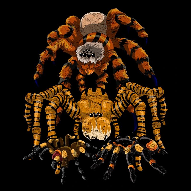 Tarantel Arachnide Vogelspinne Geschenk Spinne