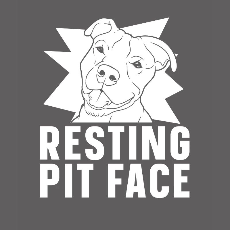 Pitbull Pitbull Interdiction Pitbull Repos Pit Face