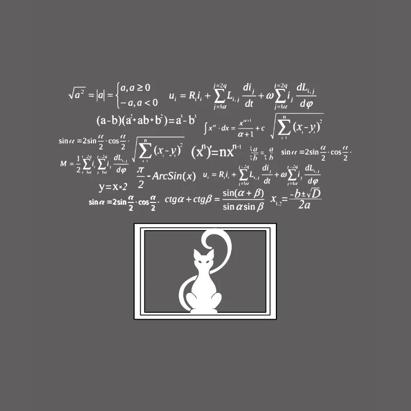 Physics Phyker Cat Quantum Physics