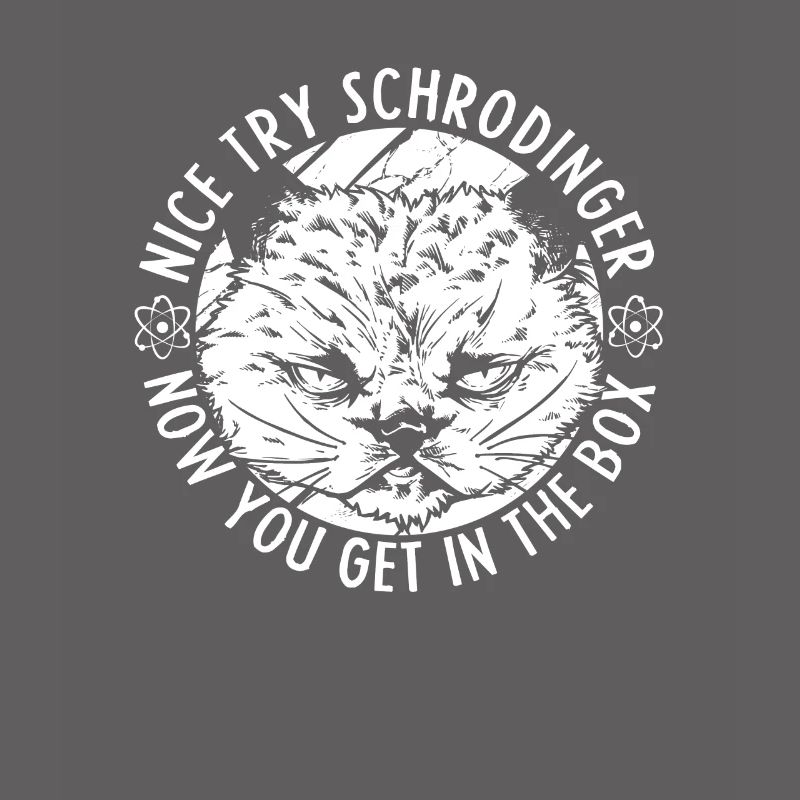 Physics Phyker Funny Quantum Physics