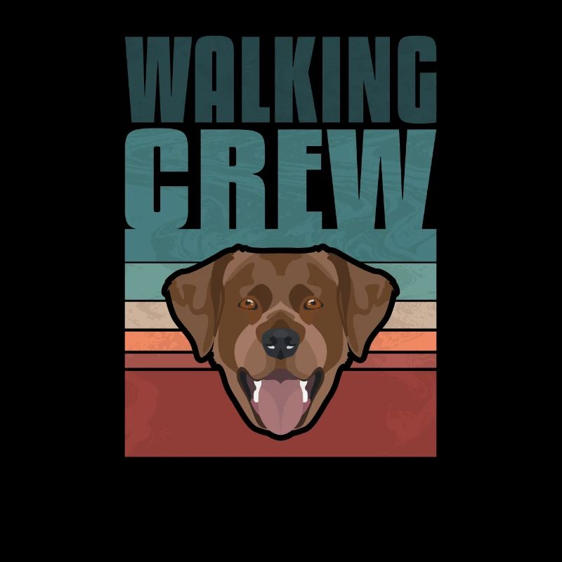Gassi Crew, Chocolat Labrador, Lab