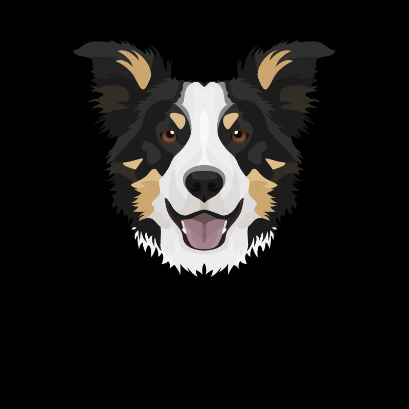 Lächelnder Border Collie