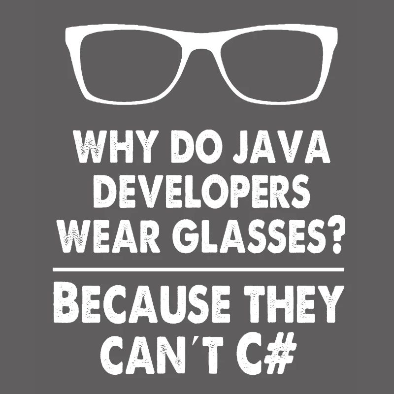 Developer Java