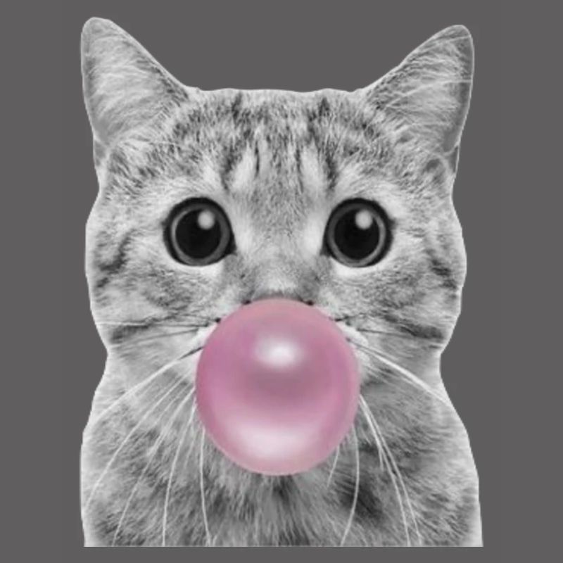 Bubble Katze