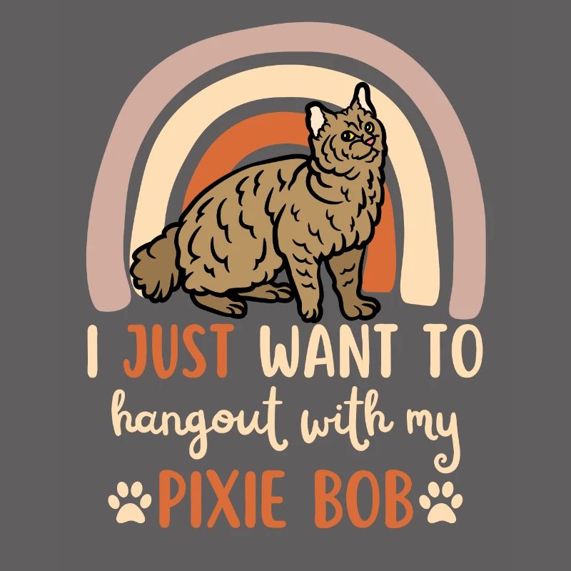 Cute Pixie Bob Cat