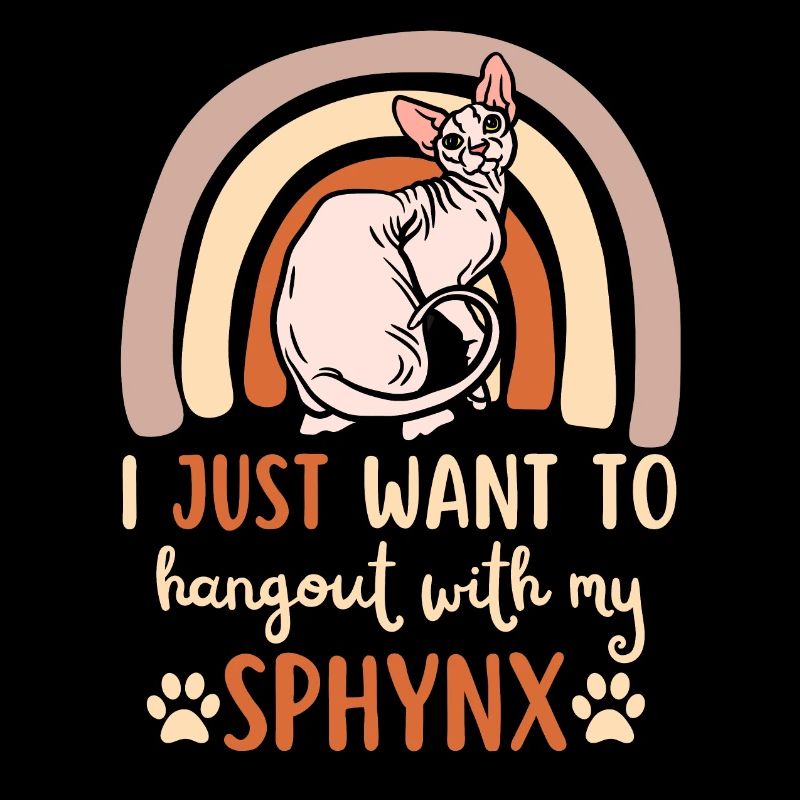 Mignon chat Sphynx