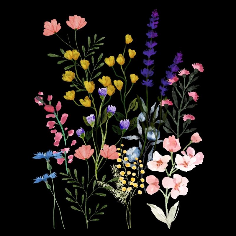 Sommerwiese