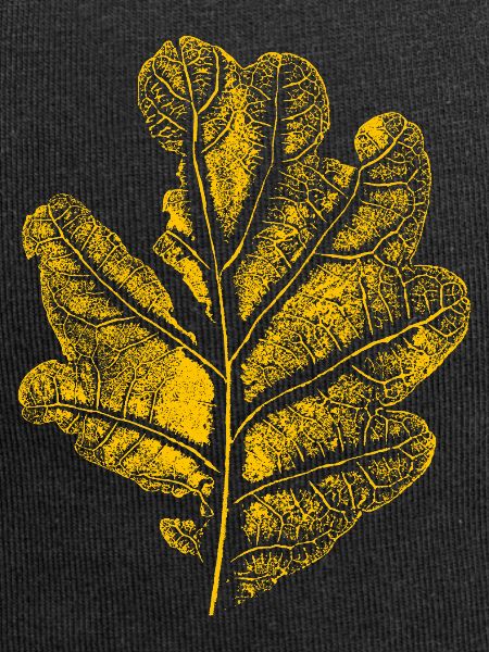 Blatt Eiche/ Eichenblatt