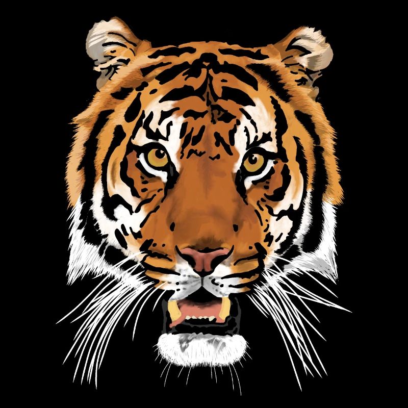 Tigre