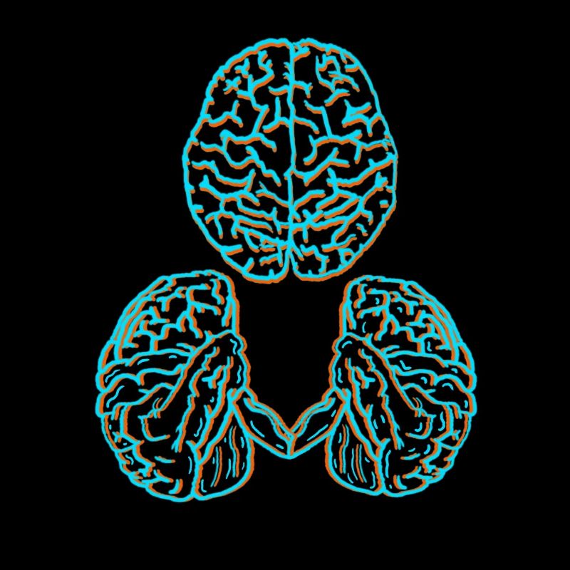 Brain