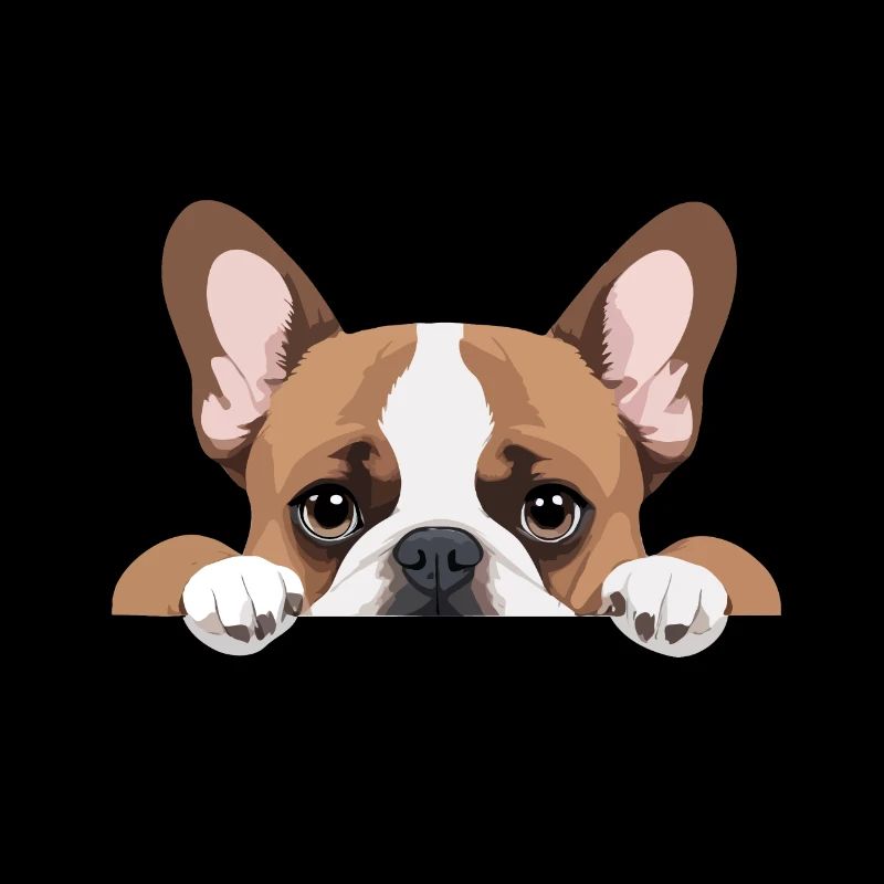Bouledogue français Coup d’œil mignon Adorable animal drôle