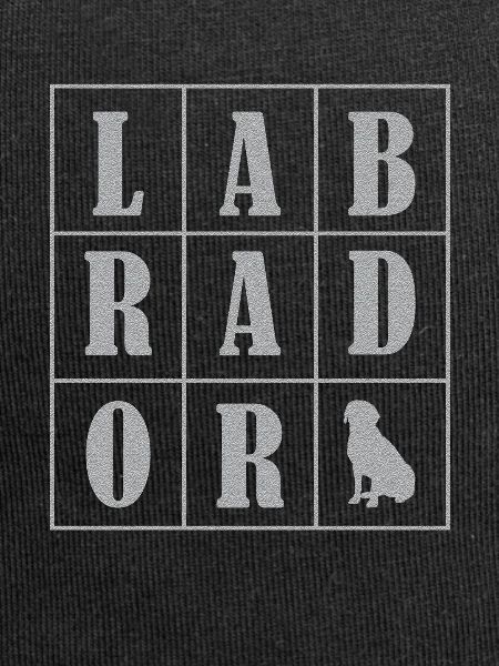 Labrador Hund Labrador