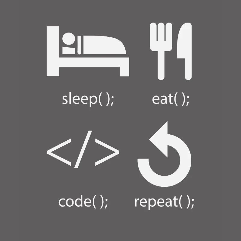 Programmierer Entwickler - Eat Sleep Code Repeat